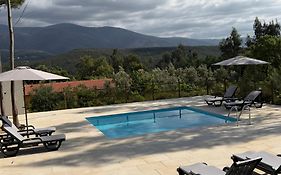 Quinta-Lina De Serpins